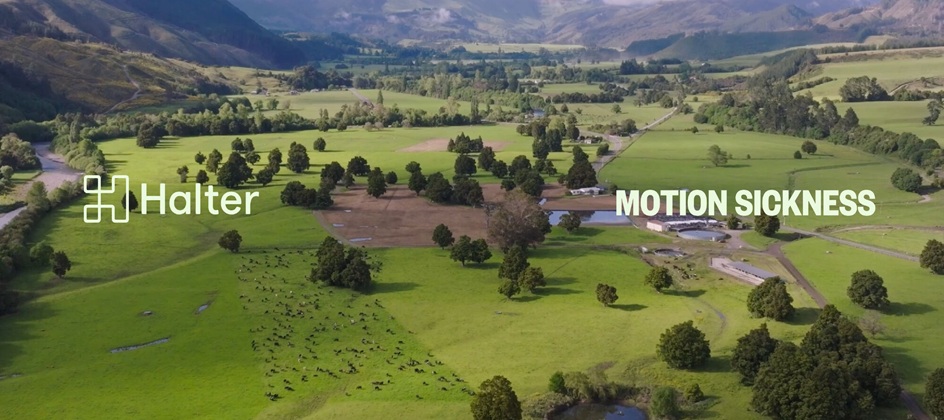 Motion Sickness wins global Halter remit